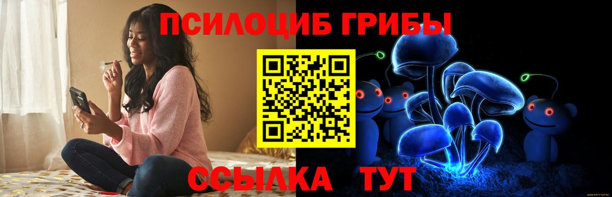 Псилоцибиновые грибы мицелий Краснодар